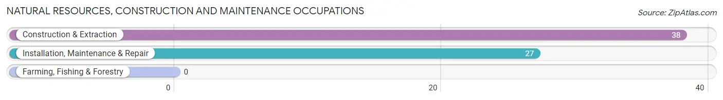 Natural Resources, Construction and Maintenance Occupations in Zip Code 04349