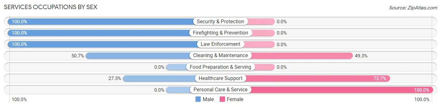 Services Occupations by Sex in Zip Code 04351