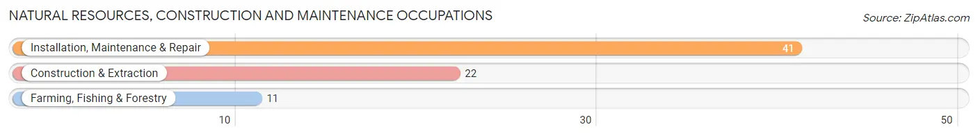 Natural Resources, Construction and Maintenance Occupations in Zip Code 04354