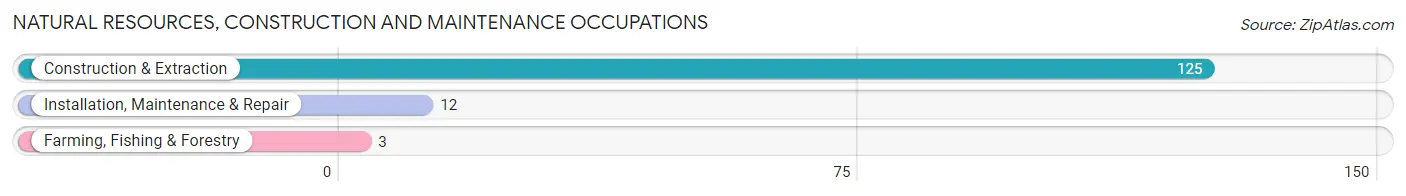 Natural Resources, Construction and Maintenance Occupations in Zip Code 04355