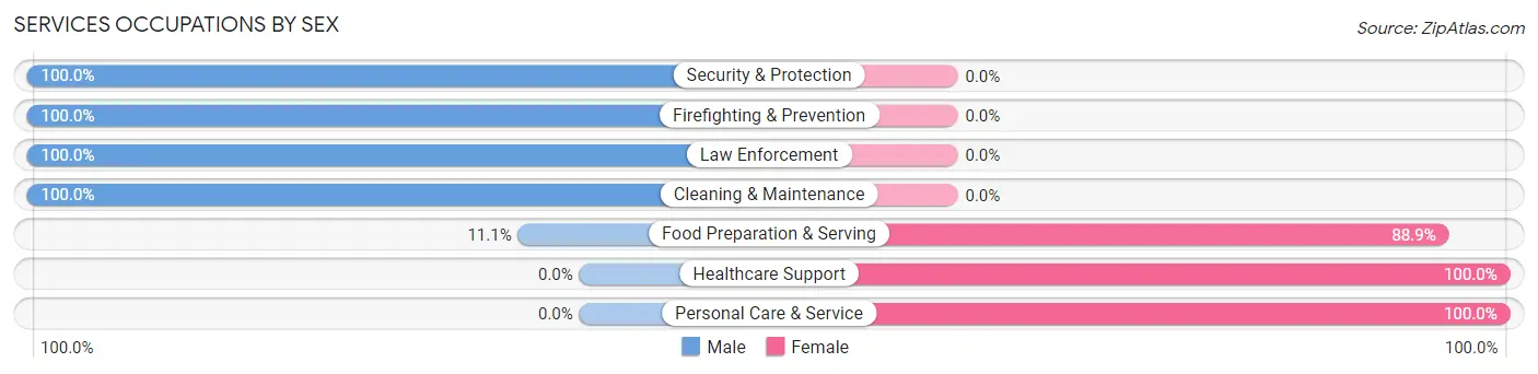 Services Occupations by Sex in Zip Code 04355