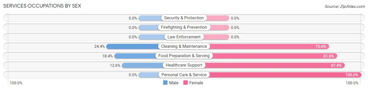 Services Occupations by Sex in Zip Code 04358