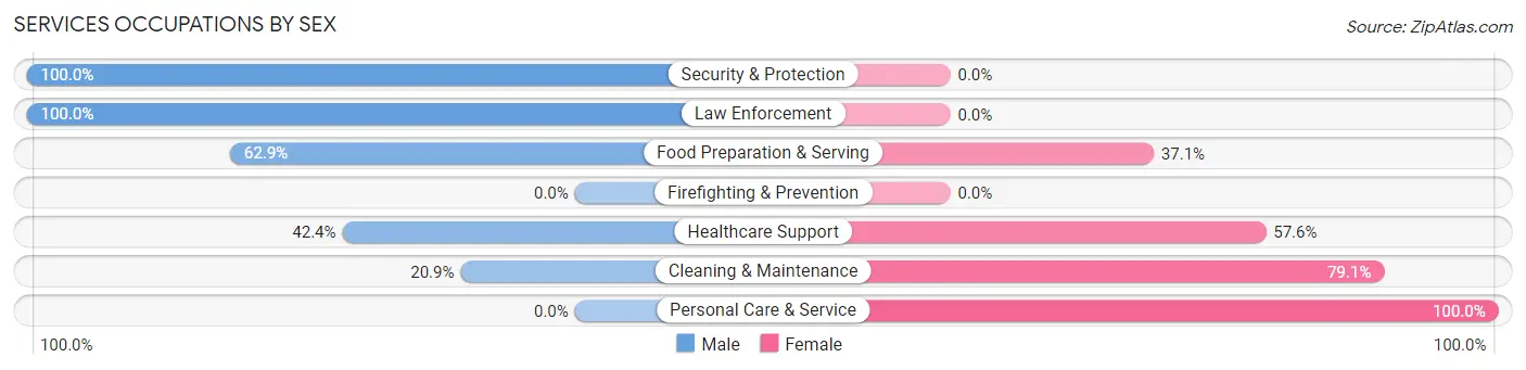 Services Occupations by Sex in Zip Code 04364