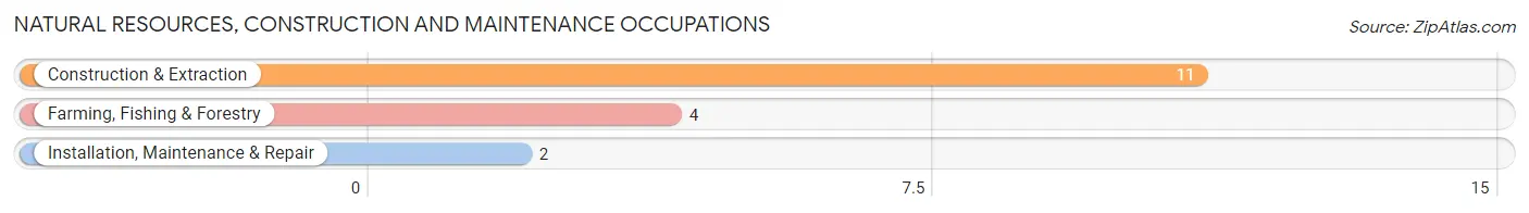 Natural Resources, Construction and Maintenance Occupations in Zip Code 04408