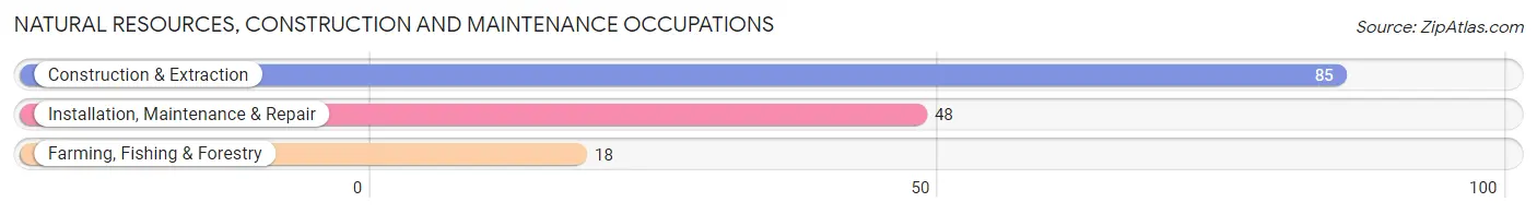 Natural Resources, Construction and Maintenance Occupations in Zip Code 04418