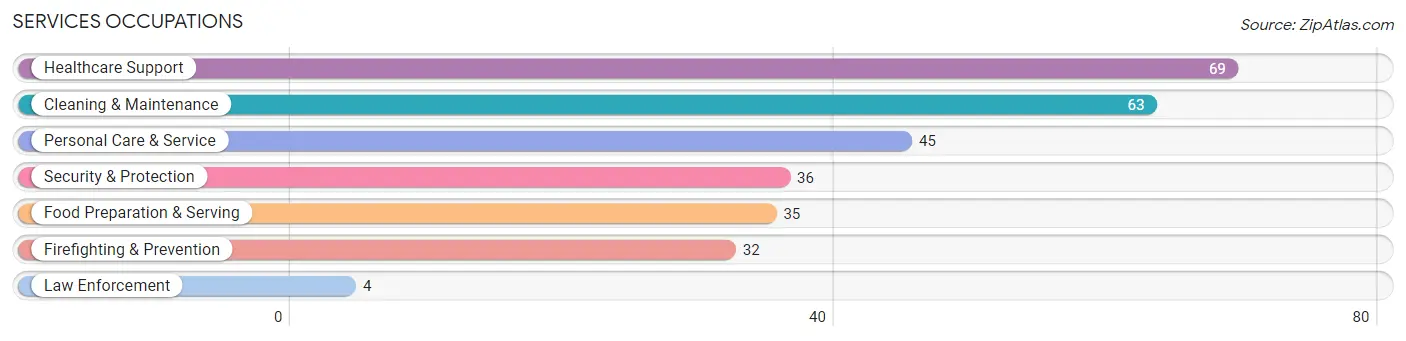 Services Occupations in Zip Code 04428