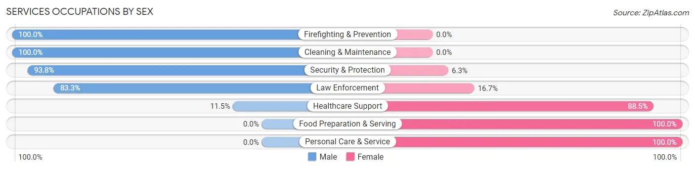 Services Occupations by Sex in Zip Code 04435