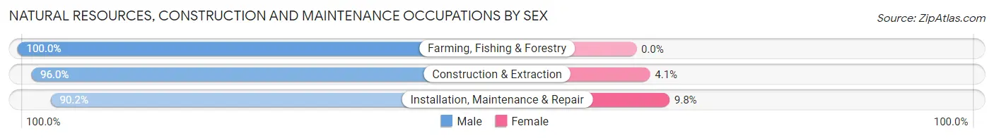 Natural Resources, Construction and Maintenance Occupations by Sex in Zip Code 04443