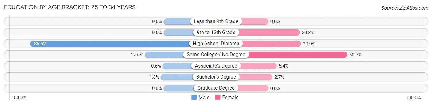 Education By Age Bracket in Zip Code 04463: 25 to 34 Years