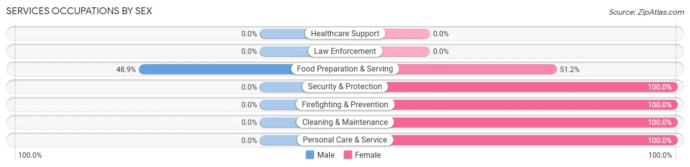 Services Occupations by Sex in Zip Code 04469