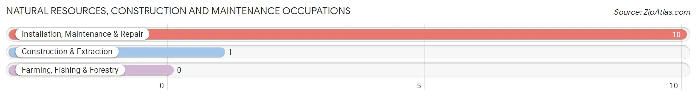 Natural Resources, Construction and Maintenance Occupations in Zip Code 04471