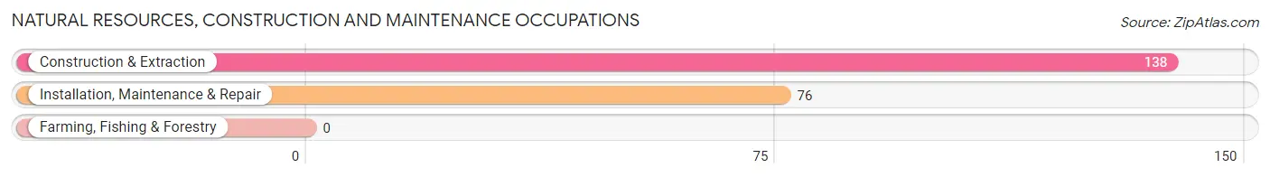 Natural Resources, Construction and Maintenance Occupations in Zip Code 04474