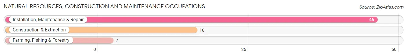 Natural Resources, Construction and Maintenance Occupations in Zip Code 04479