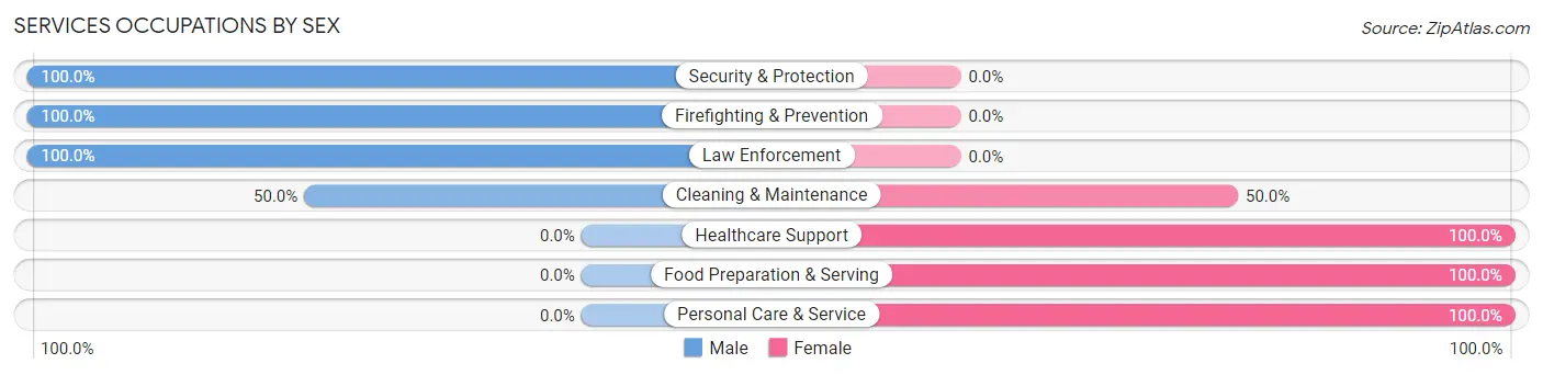 Services Occupations by Sex in Zip Code 04479