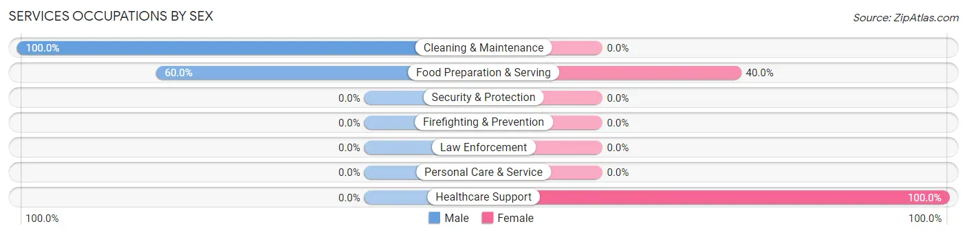 Services Occupations by Sex in Zip Code 04487