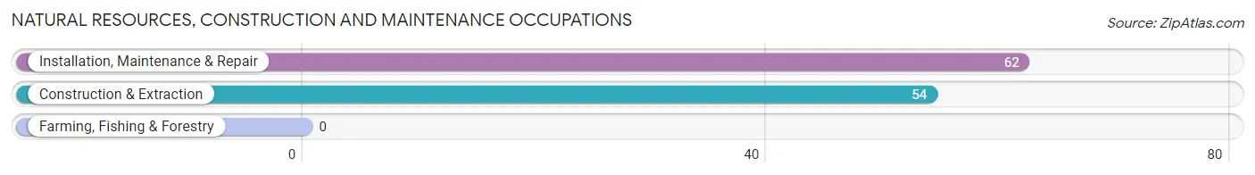 Natural Resources, Construction and Maintenance Occupations in Zip Code 04488