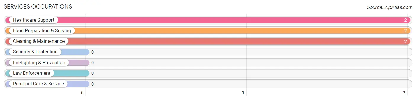 Services Occupations in Zip Code 04490