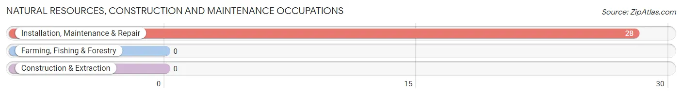 Natural Resources, Construction and Maintenance Occupations in Zip Code 04491