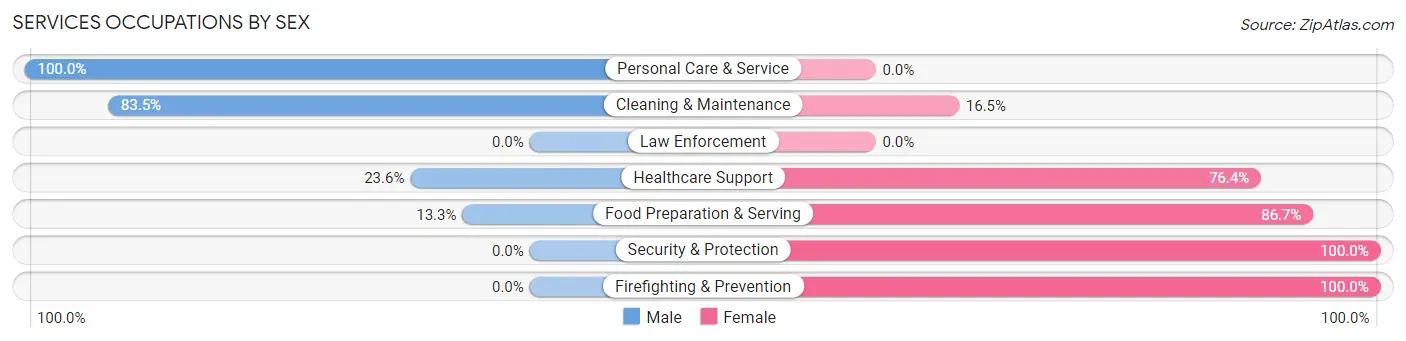 Services Occupations by Sex in Zip Code 04496