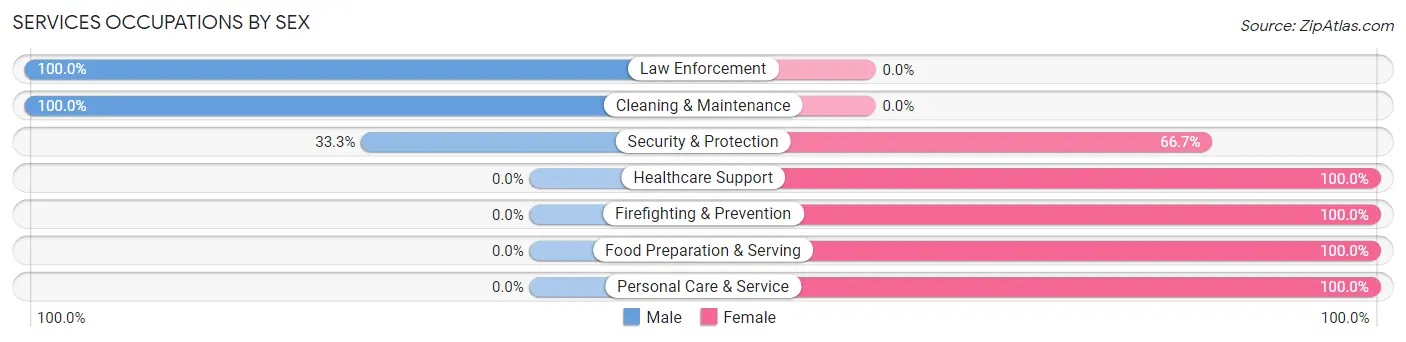 Services Occupations by Sex in Zip Code 04539
