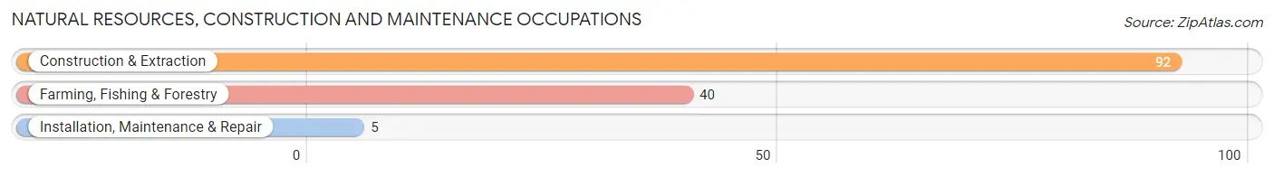 Natural Resources, Construction and Maintenance Occupations in Zip Code 04543