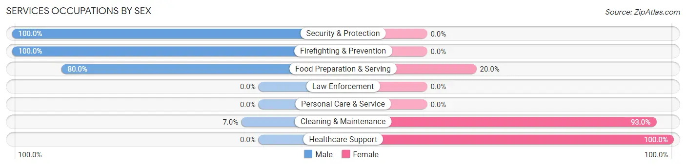 Services Occupations by Sex in Zip Code 04543