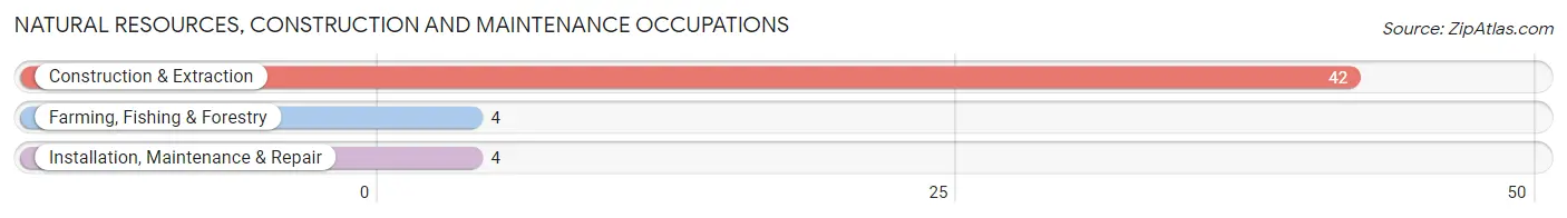 Natural Resources, Construction and Maintenance Occupations in Zip Code 04548