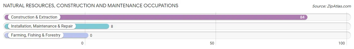 Natural Resources, Construction and Maintenance Occupations in Zip Code 04556