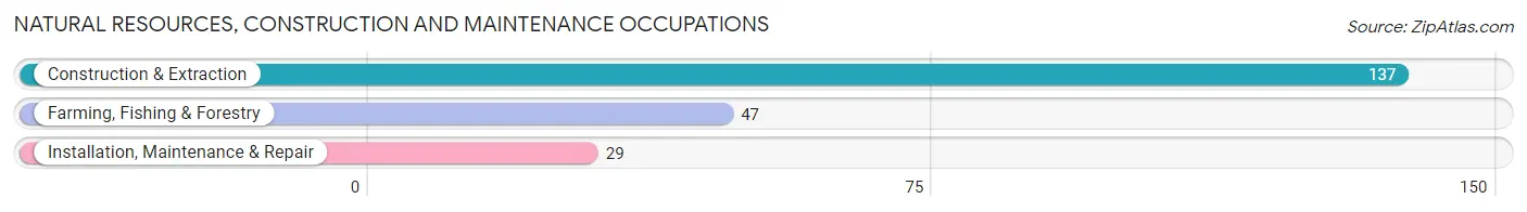 Natural Resources, Construction and Maintenance Occupations in Zip Code 04562
