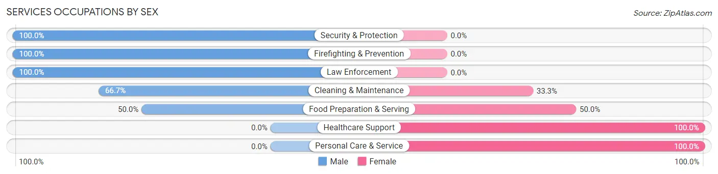 Services Occupations by Sex in Zip Code 04563