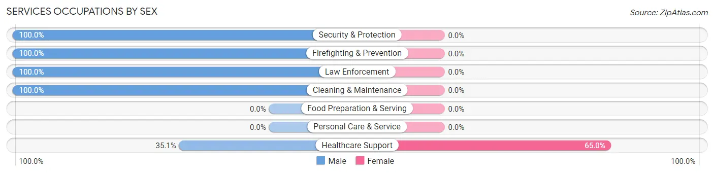 Services Occupations by Sex in Zip Code 04572
