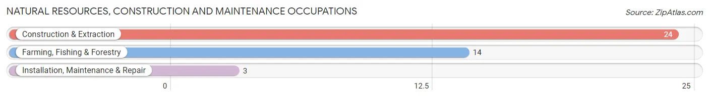 Natural Resources, Construction and Maintenance Occupations in Zip Code 04573