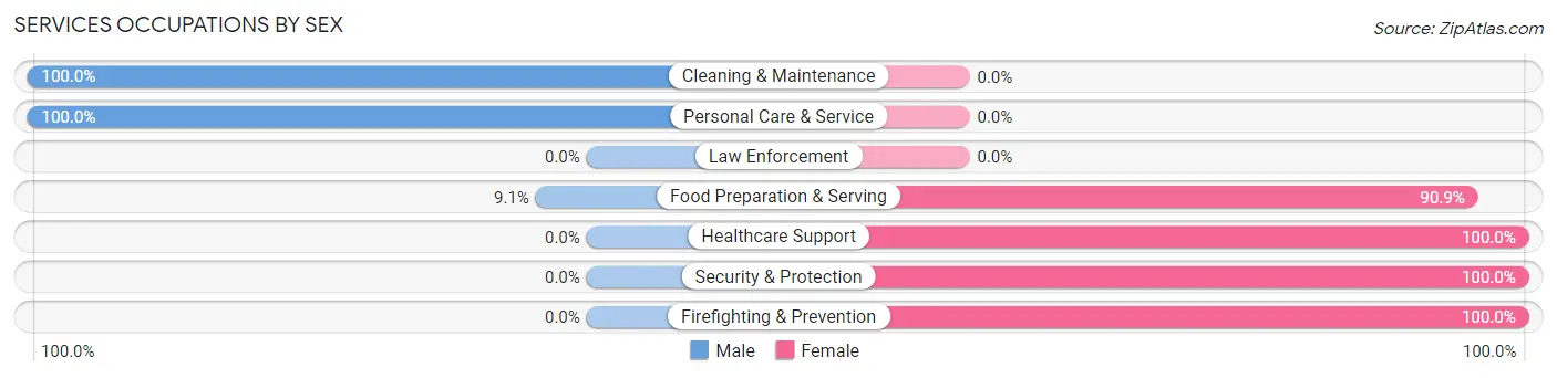 Services Occupations by Sex in Zip Code 04573