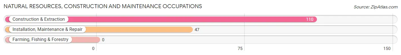 Natural Resources, Construction and Maintenance Occupations in Zip Code 04609
