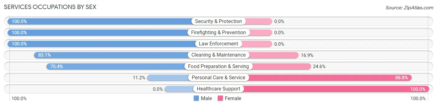 Services Occupations by Sex in Zip Code 04609