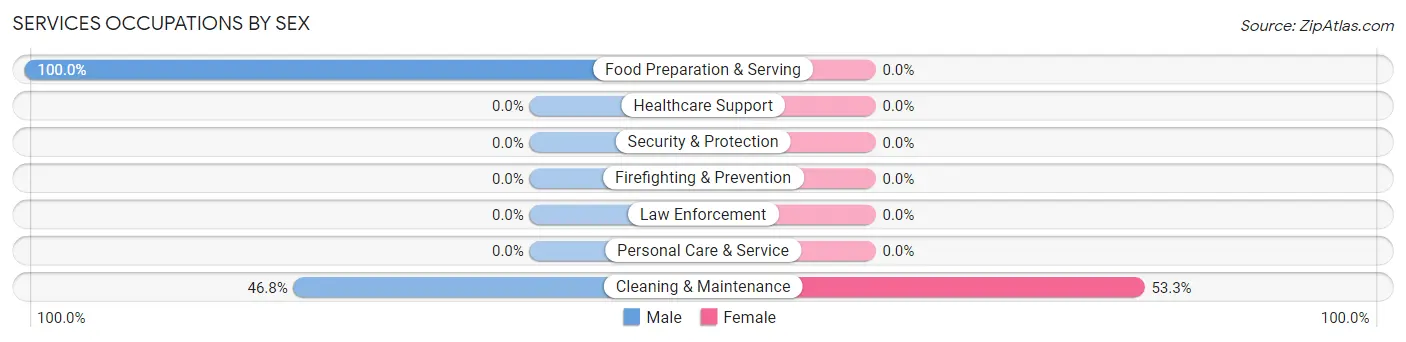 Services Occupations by Sex in Zip Code 04616
