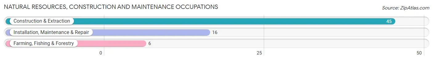 Natural Resources, Construction and Maintenance Occupations in Zip Code 04623