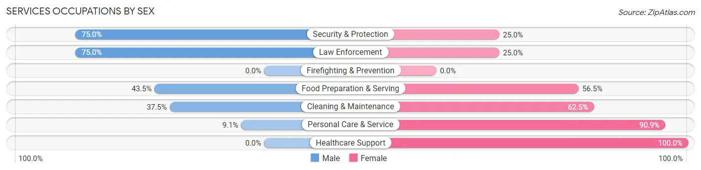 Services Occupations by Sex in Zip Code 04623