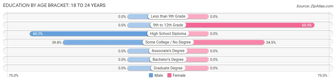 Education By Age Bracket in Zip Code 04627: 18 to 24 Years