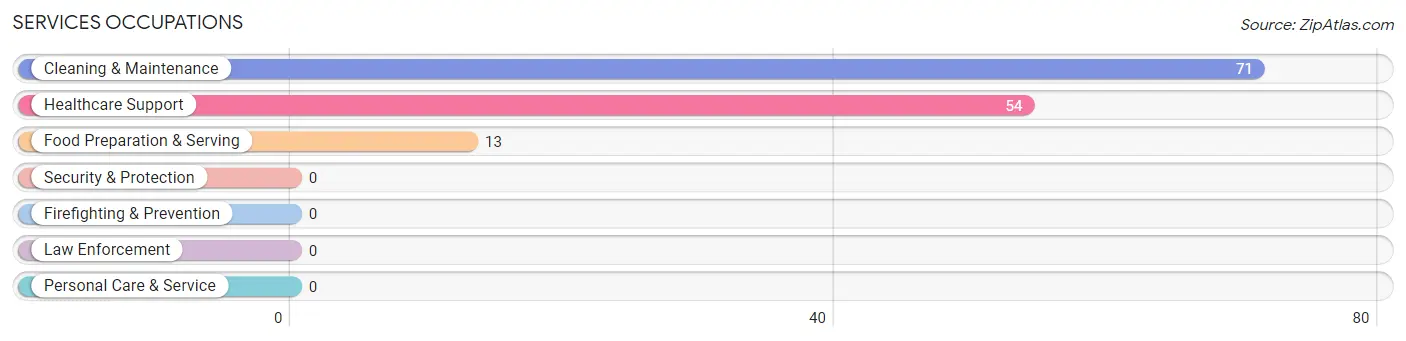 Services Occupations in Zip Code 04627