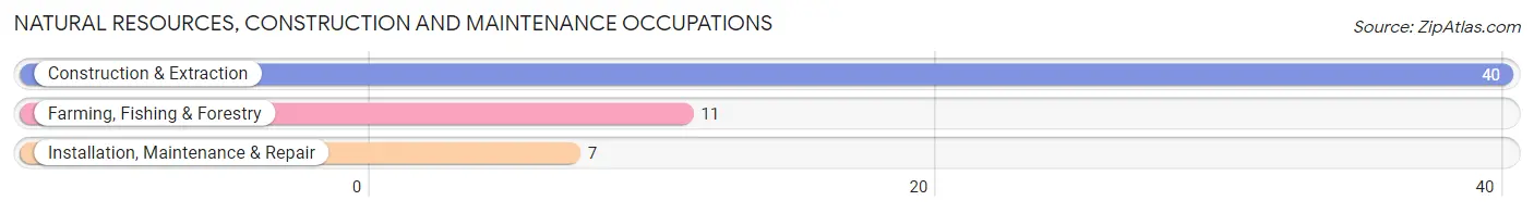 Natural Resources, Construction and Maintenance Occupations in Zip Code 04628