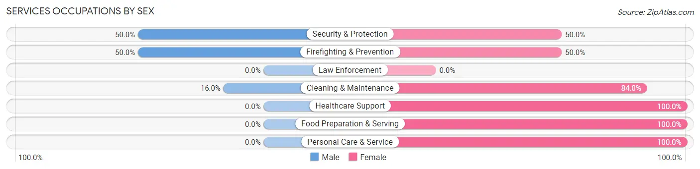 Services Occupations by Sex in Zip Code 04628
