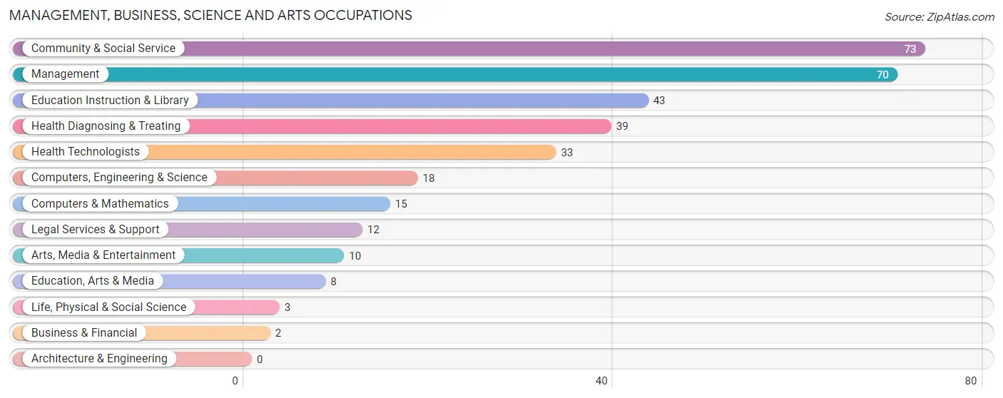 Management, Business, Science and Arts Occupations in Zip Code 04631