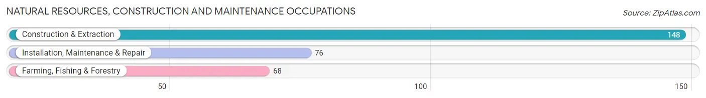 Natural Resources, Construction and Maintenance Occupations in Zip Code 04640
