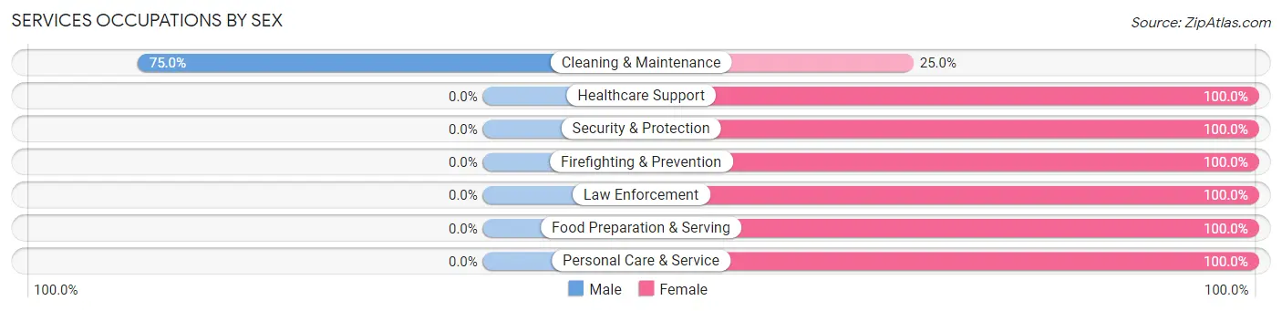 Services Occupations by Sex in Zip Code 04643