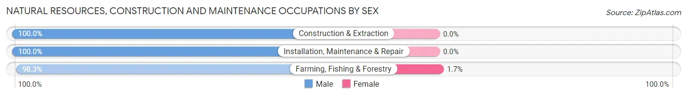Natural Resources, Construction and Maintenance Occupations by Sex in Zip Code 04649