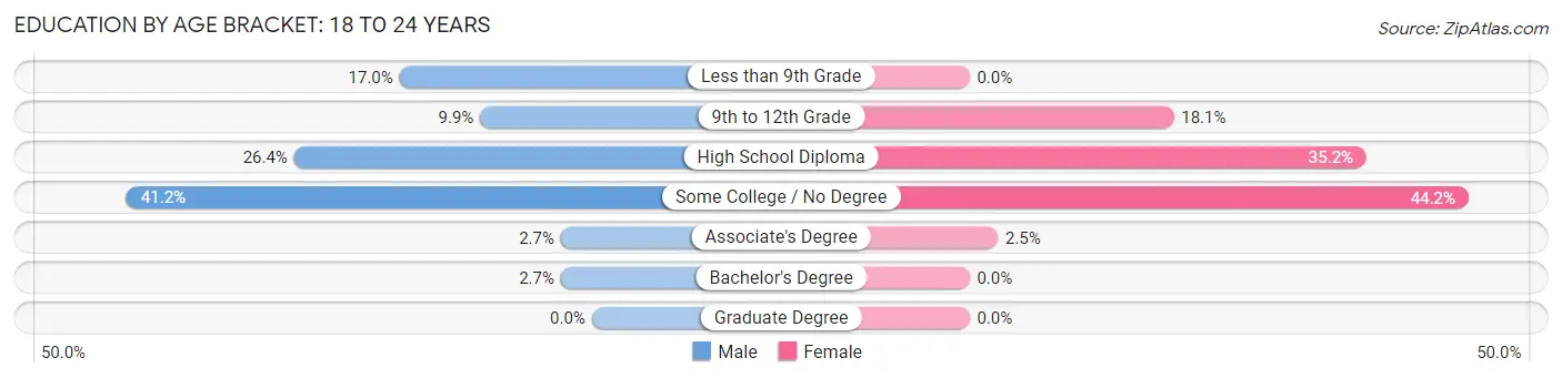 Education By Age Bracket in Zip Code 04654: 18 to 24 Years