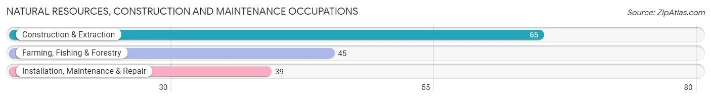 Natural Resources, Construction and Maintenance Occupations in Zip Code 04654