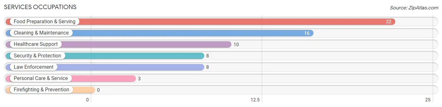 Services Occupations in Zip Code 04655