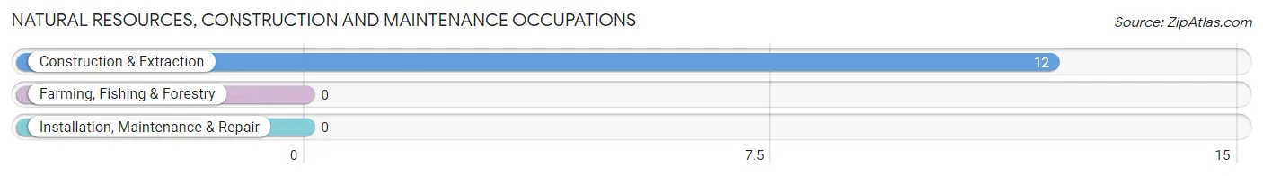 Natural Resources, Construction and Maintenance Occupations in Zip Code 04657